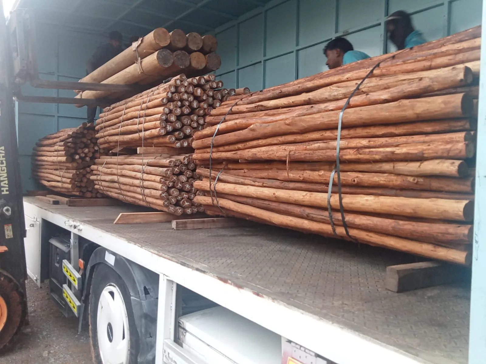 Natural and Customized Poles 5