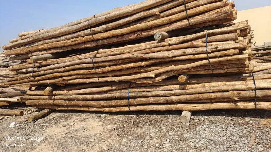 Natural and Customized Poles — Bestonhomes, photo 3 of 27