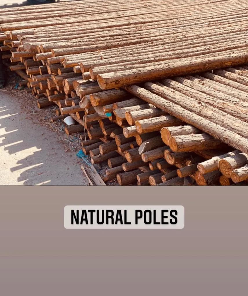 Natural and Customized Poles — Bestonhomes, photo 5 of 27
