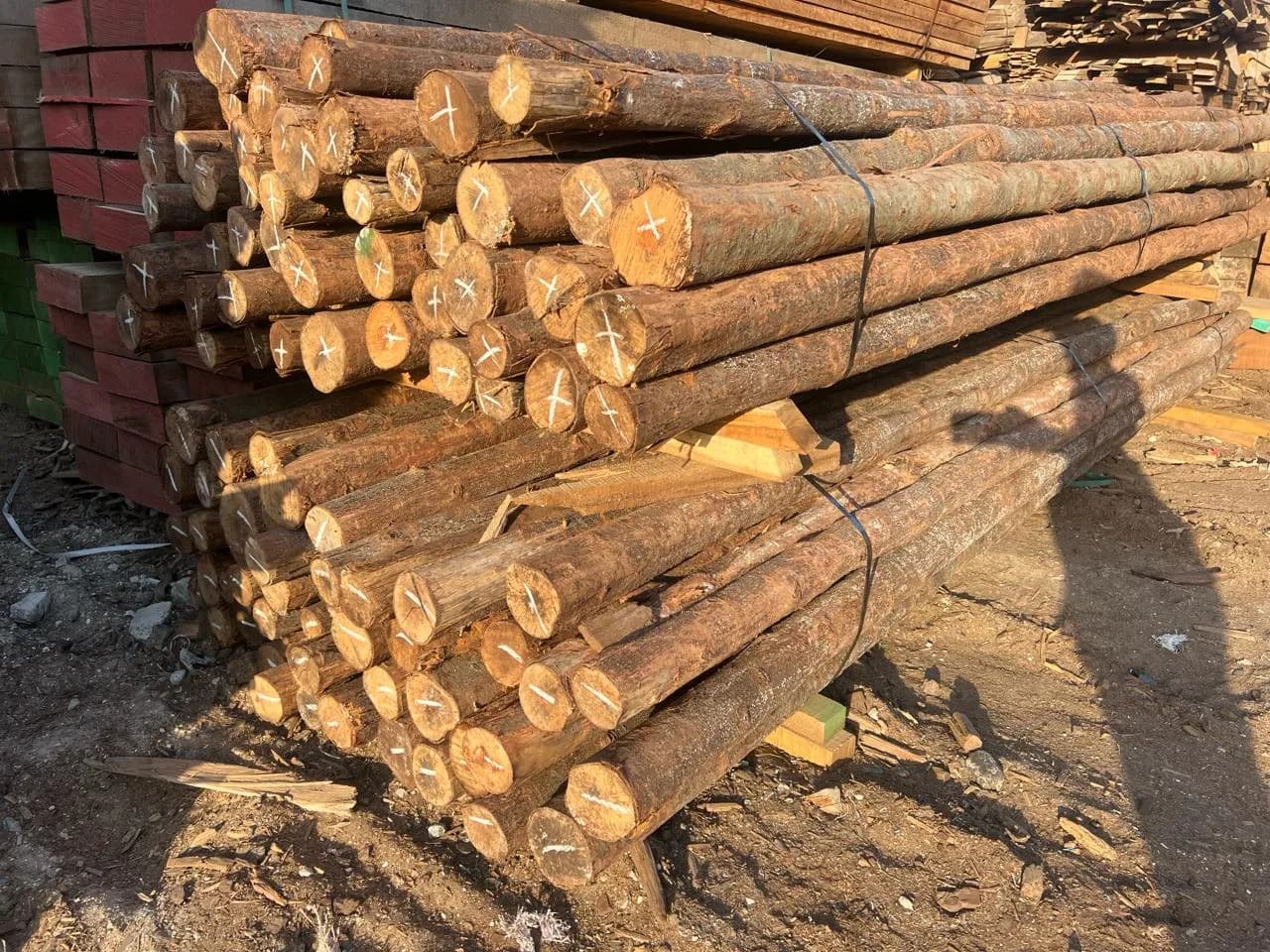 Natural and Customized Poles — Bestonhomes, photo 7 of 27