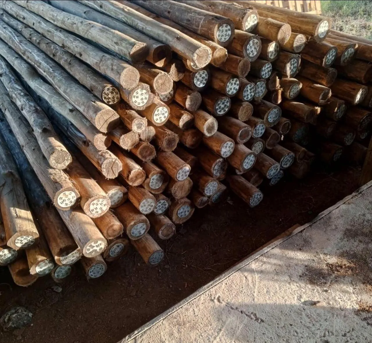 Natural and Customized Poles — Bestonhomes, photo 9 of 27