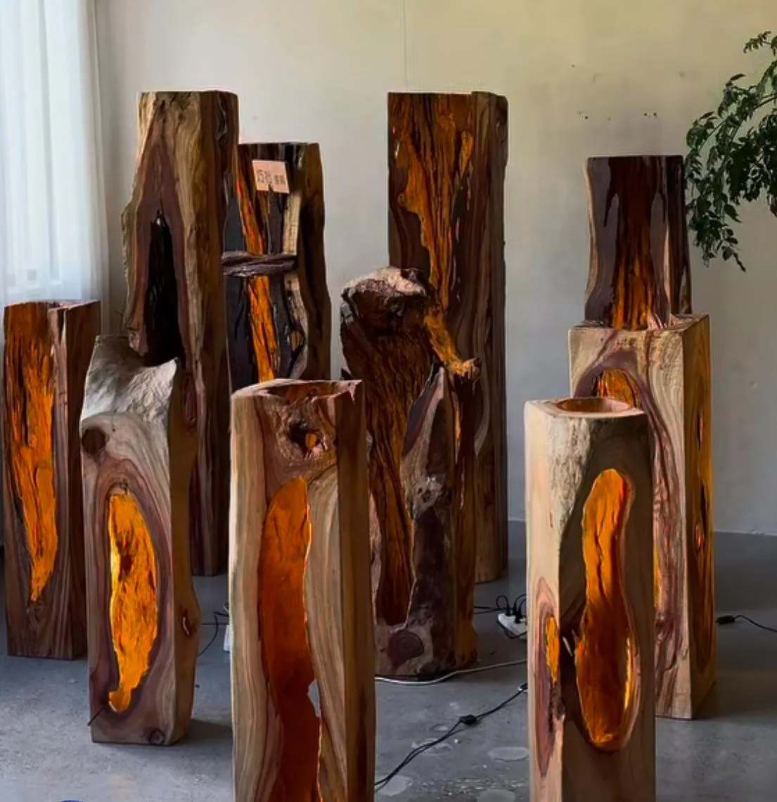 Outdoor Projects 3