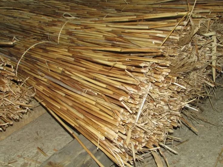 Thatch, Reed and Barasti: Sourcing Natural Shade Materials the Right Way