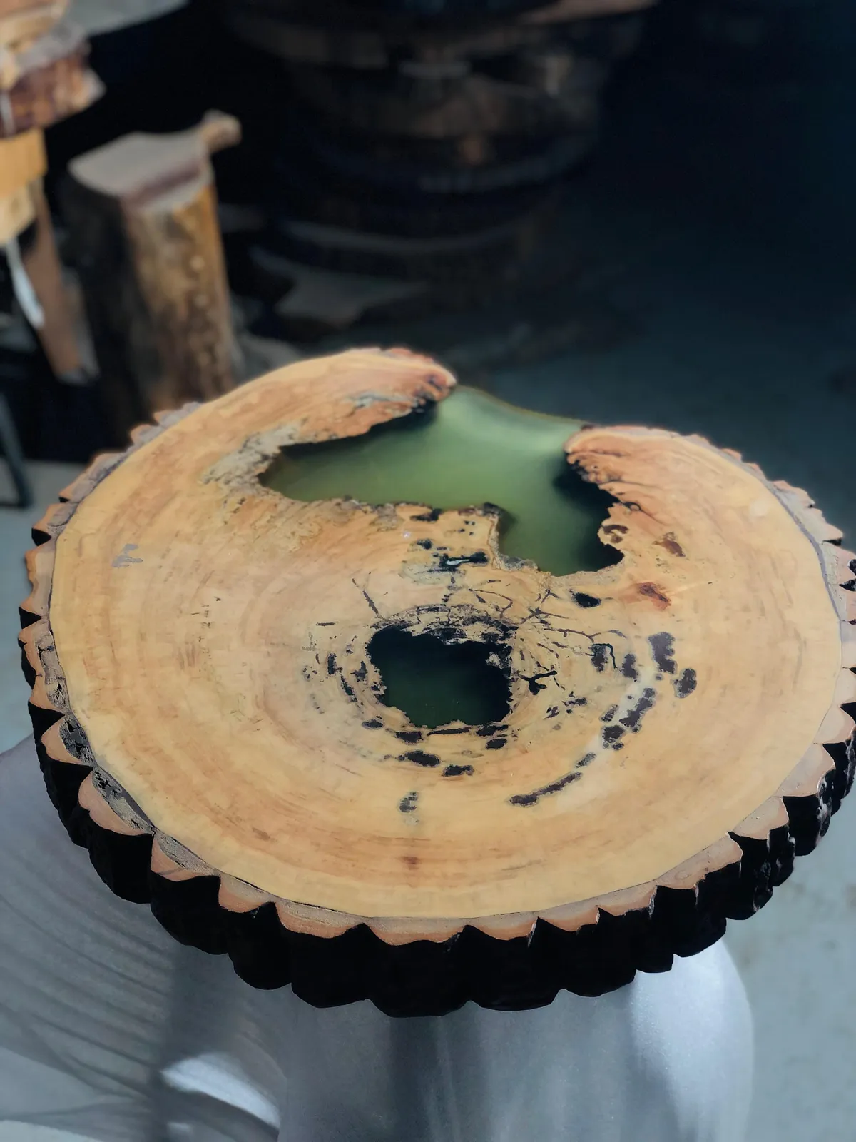 Live Edge Slabs 47
