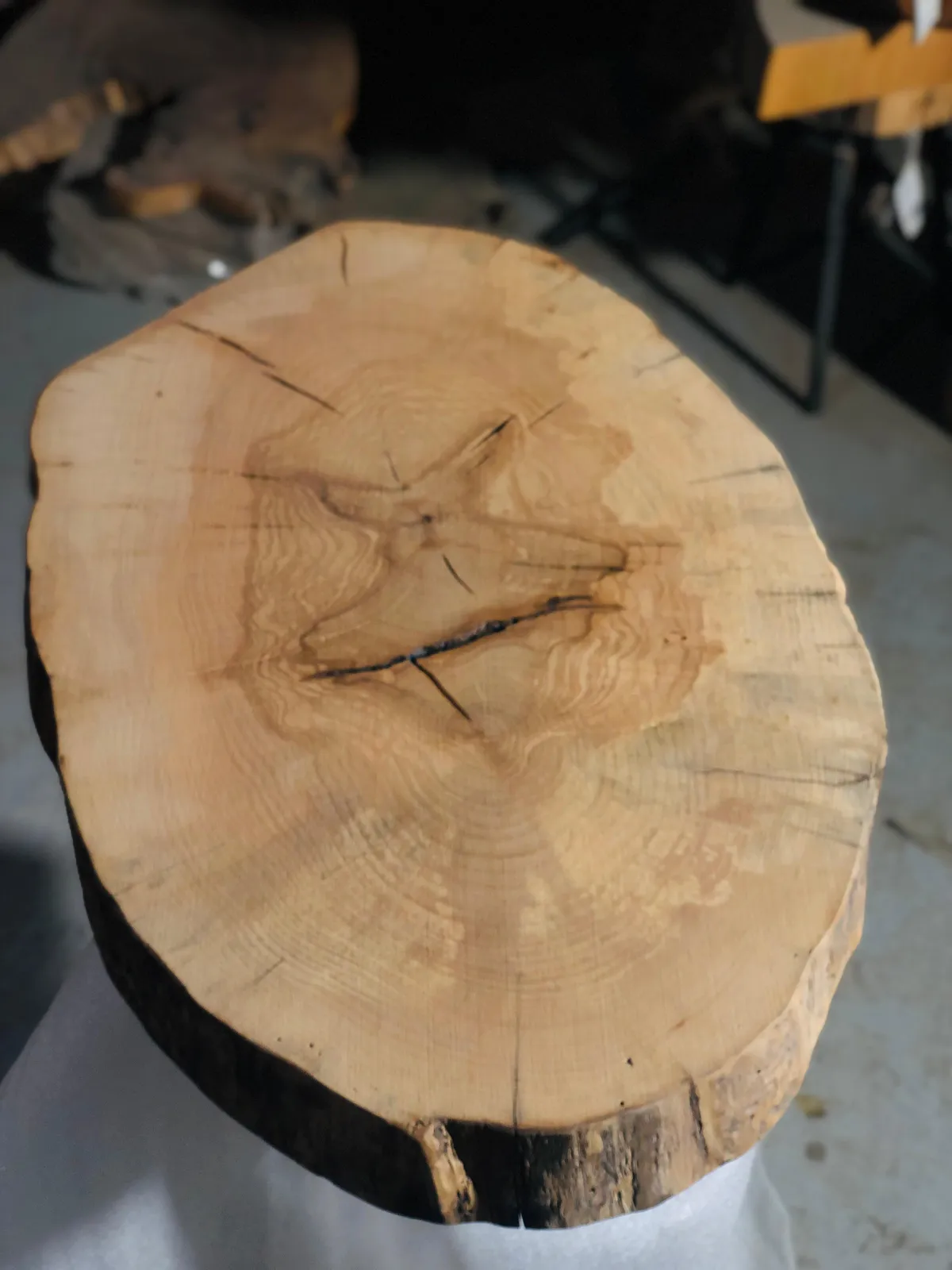 Live Edge Slabs 49