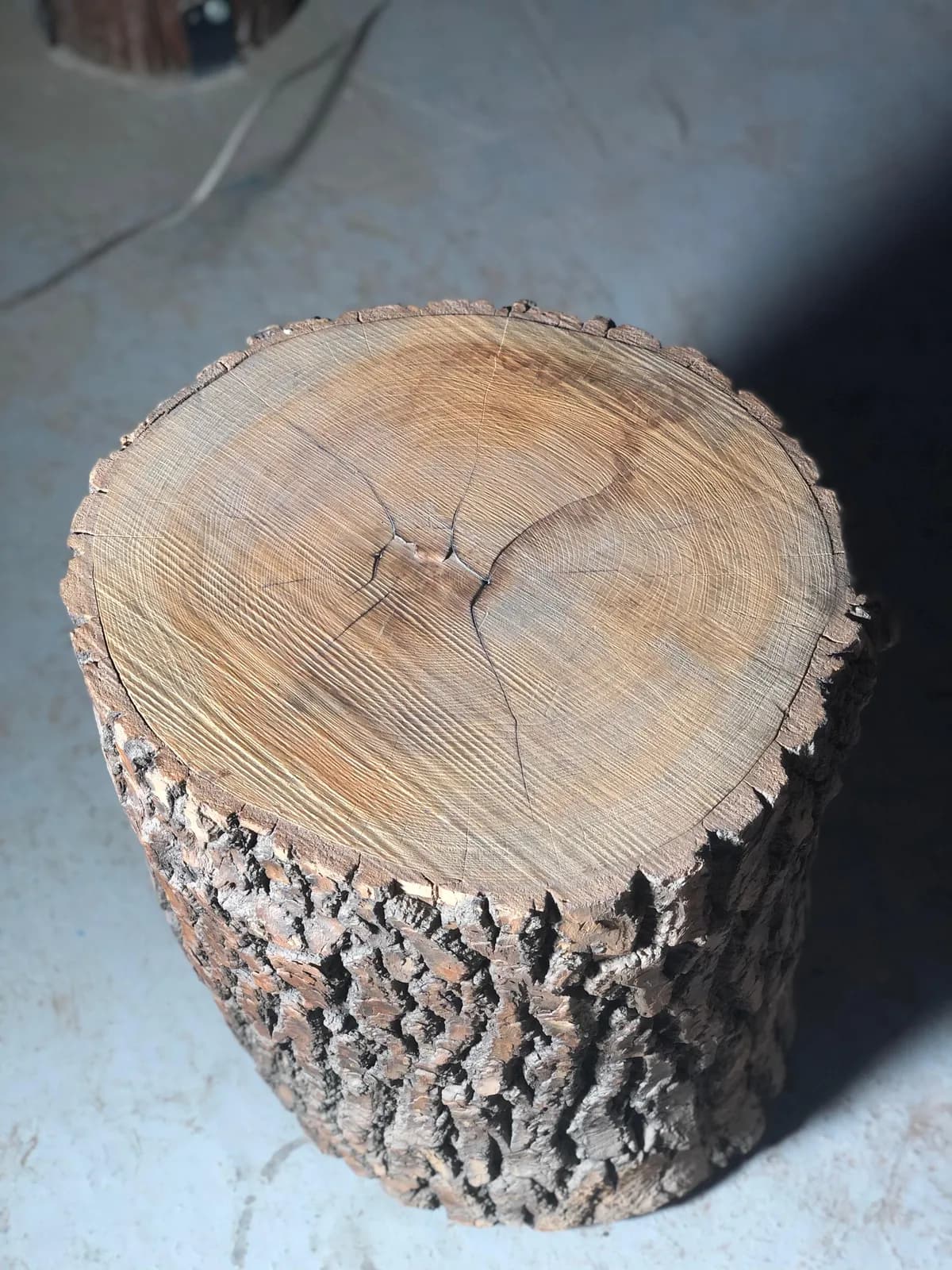 Live Edge Slabs 56