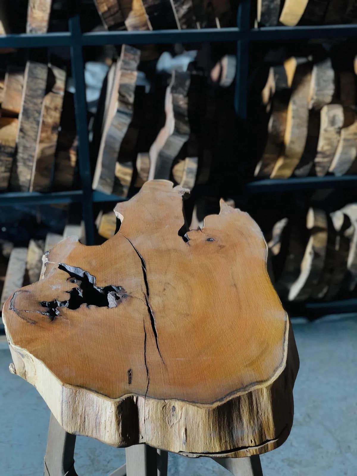 Live Edge Slabs 28